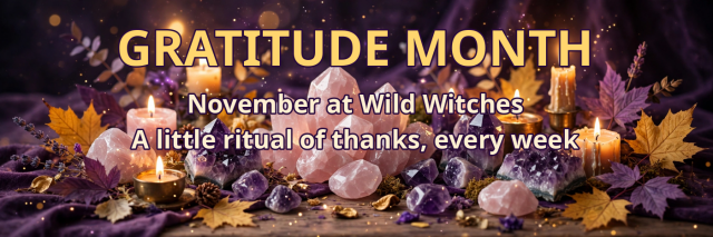 Club Desire Halloween Party 2026 featuring the Wild Witches